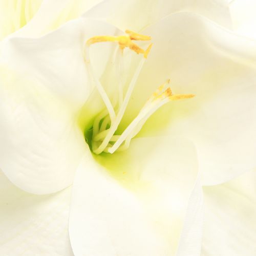 Prodotto Amaryllis Fiori di Natale artificiali L55cm bianchi 2 pezzi