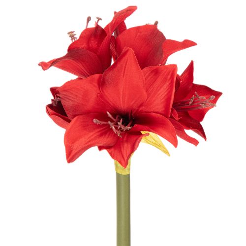 Fiore di amarillide rosso artificiale con stelo, decorazione floreale per Natale, 50 cm acquistare | Floristik24.it