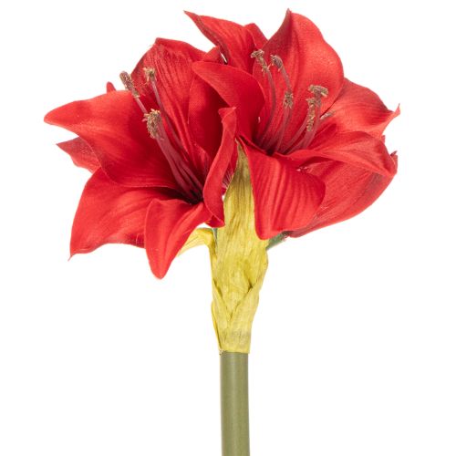 Fiore di amarillide rosso artificiale con stelo, decorazione floreale per Natale, 50 cm | Floristik24.it