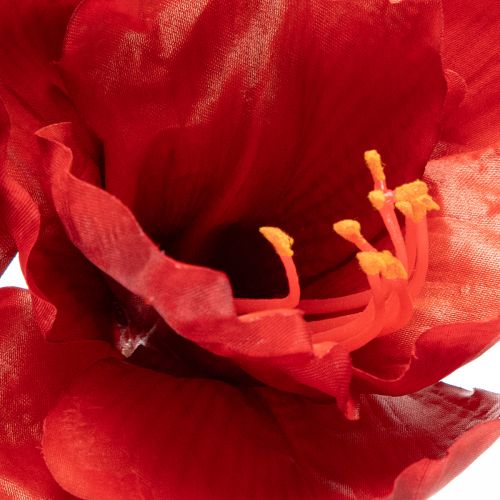 Fiore di amarillide artificiale, rosso, a stelo lungo, per vaso e composizione, 77 cm | Floristik24.it