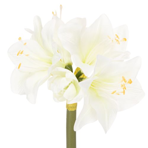 Fiore di amarillide artificiale, bianco, con stelo, Avvento e Natale, 50 cm acquistare | Floristik24.it