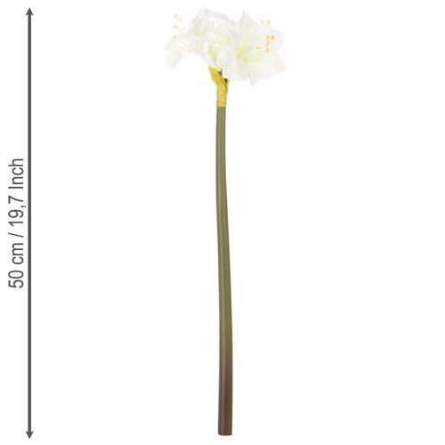 Fiore di amarillide artificiale, bianco, con stelo, Avvento e Natale, 50 cm | Floristik24.it