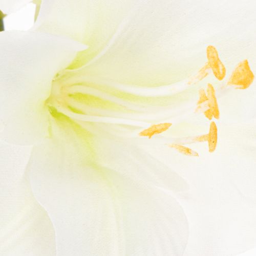 Fiore di amarillide artificiale, bianco, con stelo, Avvento e Natale, 50 cm | Floristik24.it