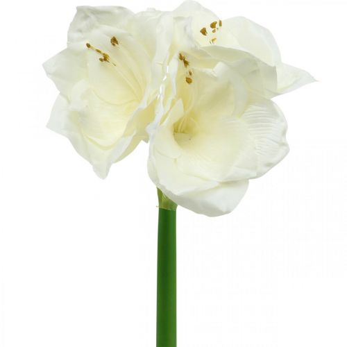 Floristik24 Fiore artificiale amaryllis stella cavaliere bianco Decorazione natalizia H40cm