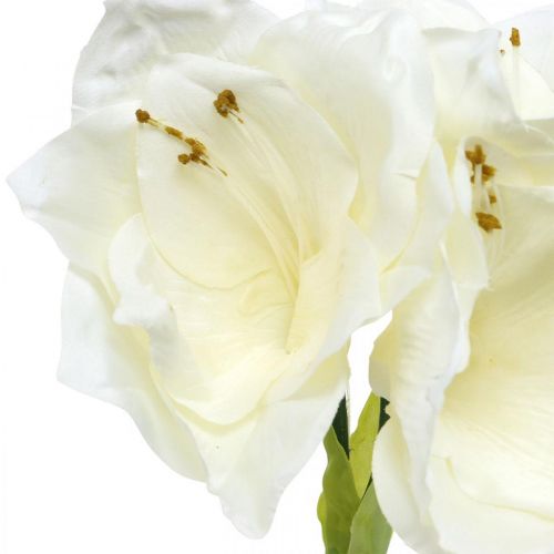 Floristik24 Fiore artificiale amaryllis stella cavaliere bianco Decorazione natalizia H40cm