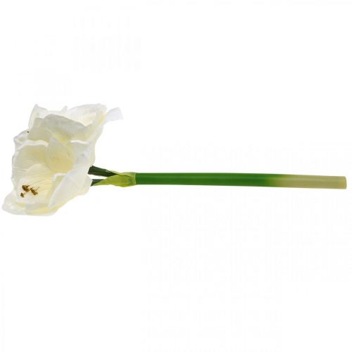 Floristik24 Fiore artificiale amaryllis stella cavaliere bianco Decorazione natalizia H40cm