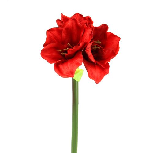 Floristik24 Amaryllis artificiale 60cm rosso