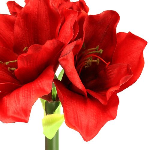 Floristik24 Amaryllis artificiale 60cm rosso