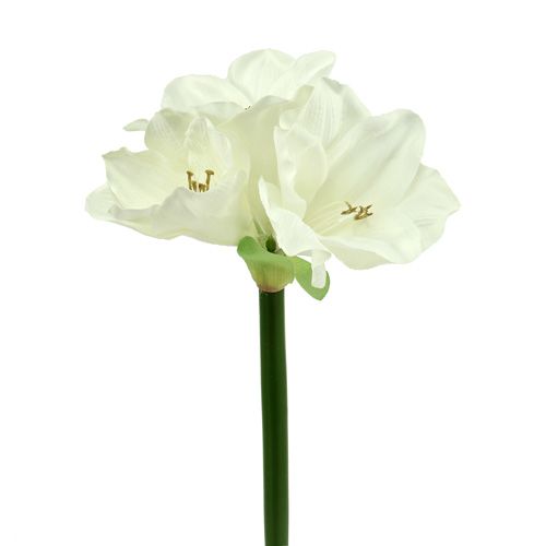 Floristik24 Amaryllis artificiale 60cm bianco