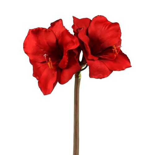 Floristik24 Amaryllis artificiale grande rosso 96,5 cm