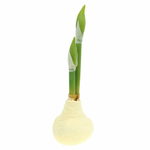 Floristik24 Amaryllis tubero con boccioli Bianco artificiale H30cm
