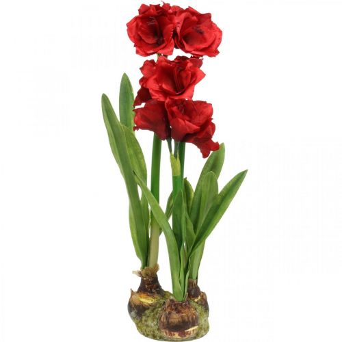 Floristik24 Amaryllis artificiale rosso 3 fiori di seta su palline di muschio H64cm