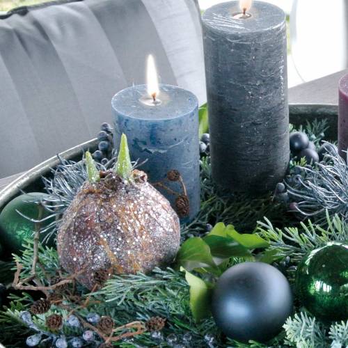 Floristik24 Amaryllis bulbo con glitter marrone artificiale H19cm