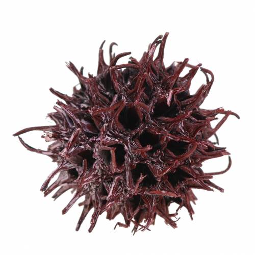 Prodotto Coni di gomma rossa glassati 250g