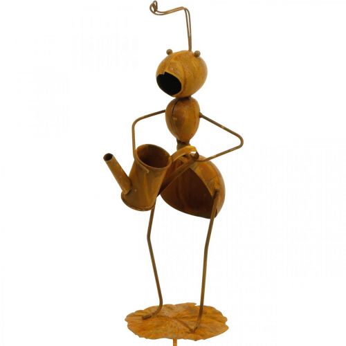 Floristik24 Formica plug decorativa, decorazione letto, formica con annaffiatoio, patina plug fiore