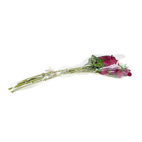 Floristik24 Anemone artificiale Fucsia 6pz
