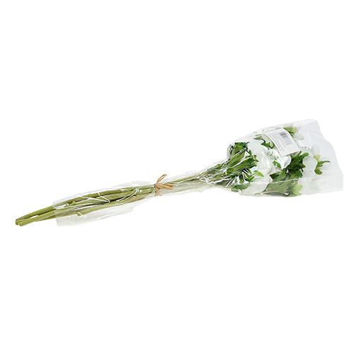 Floristik24 Anemone artificiale bianco 6pz