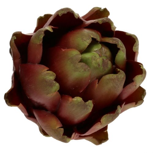 Floristik24 Marrone carciofo, verde Ø10cm H11cm
