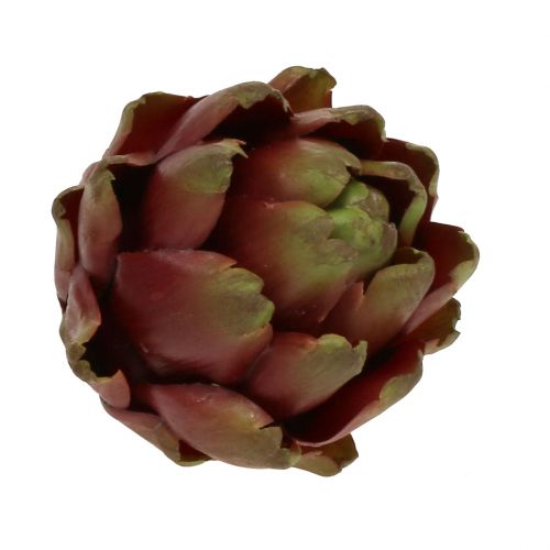 Floristik24 Marrone carciofo, verde Ø10cm H11cm