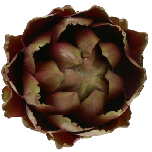 Floristik24 Verde carciofo, viola Ø12cm H13cm