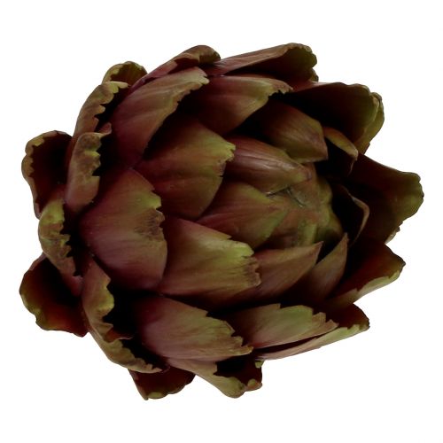 Floristik24 Verde carciofo, viola Ø12cm H13cm