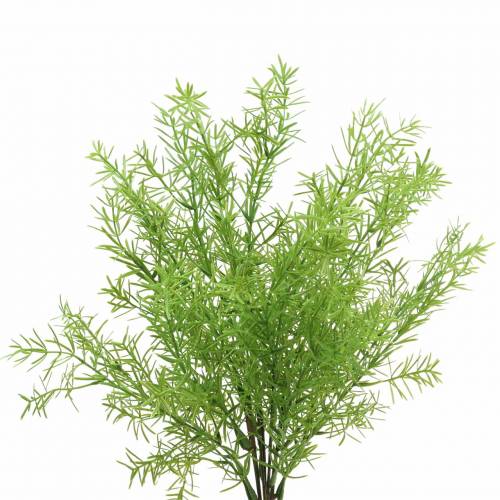 Floristik24 Asparagi decorativi asparagi verdi artificiali 46 cm