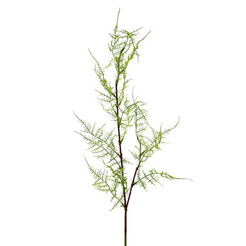 Ramo di asparagi 75cm verde 3pz