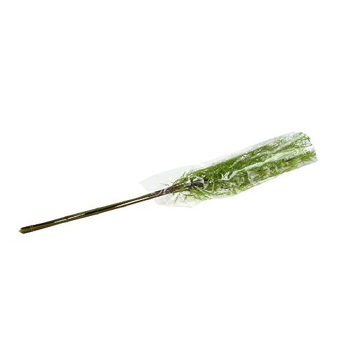 Floristik24 Ramo di asparagi 75cm verde 3pz