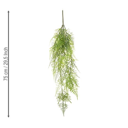 Prodotto Asparagi artificiali come pianta sospesa per la decorazione domestica a bassa manutenzione, 75 cm