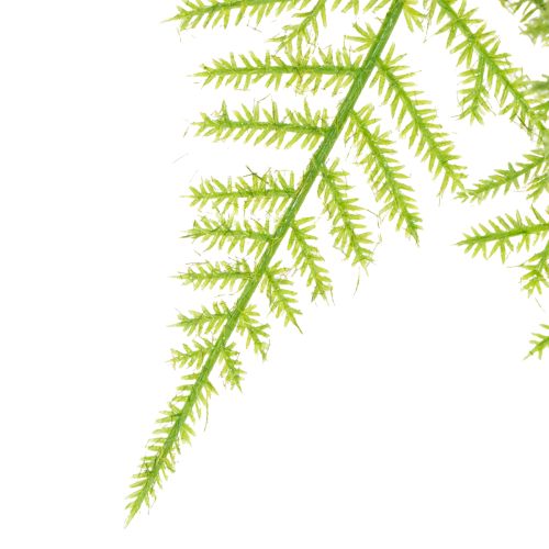 Prodotto Asparagi artificiali come pianta sospesa per la decorazione domestica a bassa manutenzione, 75 cm