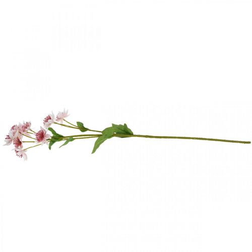 Prodotto Fiore di seta artificiale Astrania grande Masterwort bianco rosa L61cm