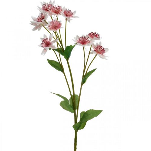 Floristik24 Fiore di seta artificiale Astrania grande Masterwort bianco rosa L61cm