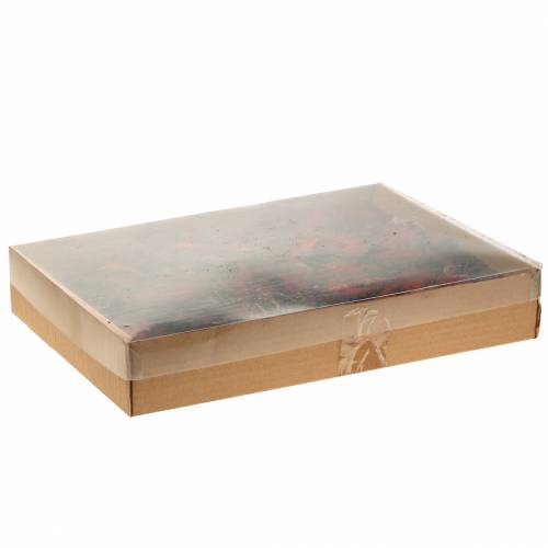Floristik24 Fette di frutta decorative Ata frutta rossa 1kg