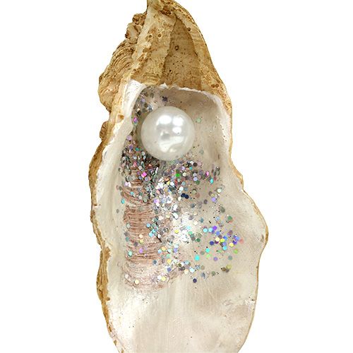 Floristik24 Ostrica con perla e mica da appendere 10,5 cm