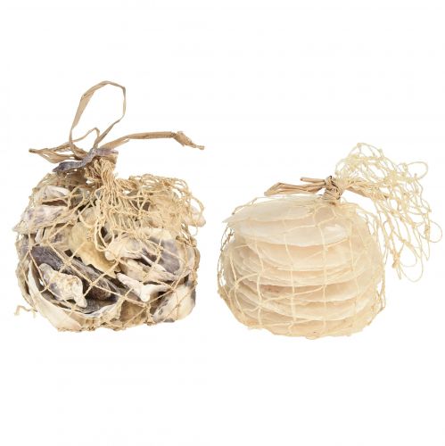 Prodotto Cozze ostriche capiz fette in rete naturale 3,5–9,5 cm 2 pezzi