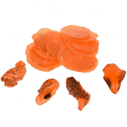Floristik24 Cozze ostriche capiz a fette in rete arancione 3,5–9,5 cm 2 pezzi