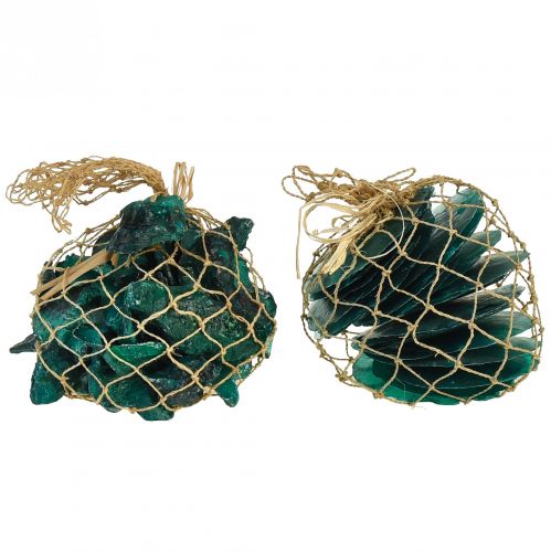 Prodotto Fette di cozze ostriche capiz in rete turchese 3,5–9,5 cm 2 pezzi