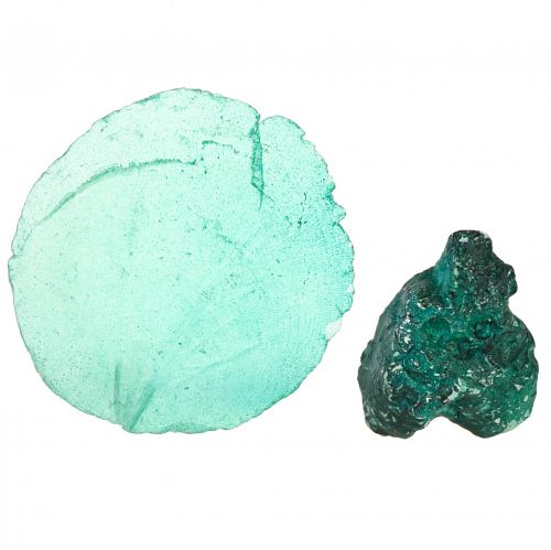 Prodotto Fette di cozze ostriche capiz in rete turchese 3,5–9,5 cm 2 pezzi