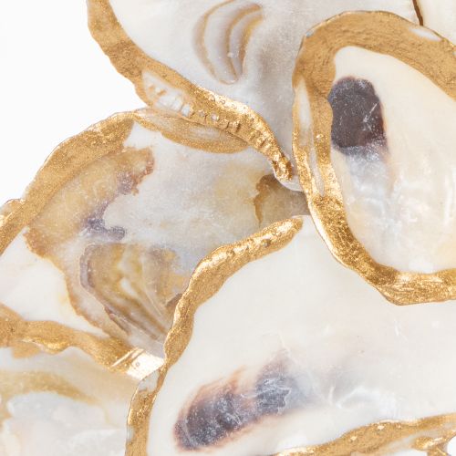 Prodotto Decorazione a forma di ghirlanda di ostriche, accessorio per la casa in stile marittimo, decorazione murale naturale, 12 cm