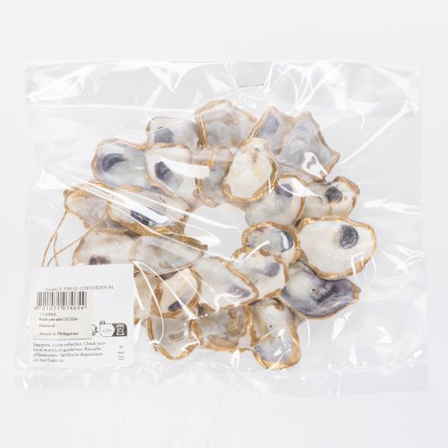 Prodotto Decorazione a forma di ghirlanda di ostriche, accessorio per la casa in stile marittimo, decorazione murale naturale, 12 cm