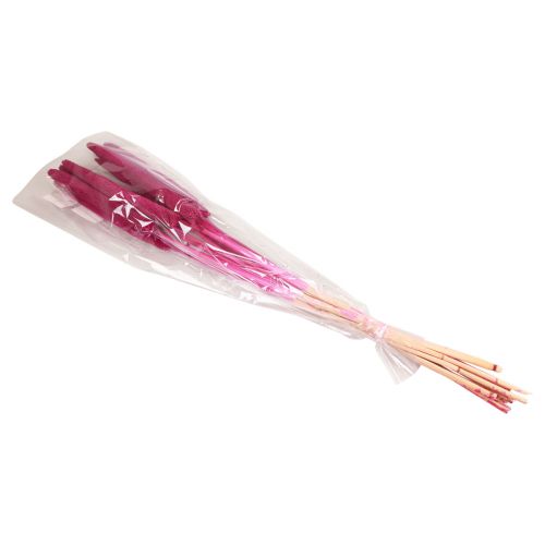 Prodotto Miglio perlato, canna babala, miglio rosa 70 cm 10 pz