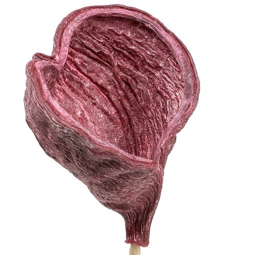 Prodotto Badam su un bastoncino rosso, imbiancato 25 pezzi