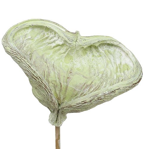 Prodotto Badam su stecco decorazione naturale verde lavato bianco 25 pezzi