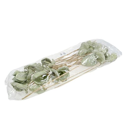 Prodotto Badam su stecco decorazione naturale verde lavato bianco 25 pezzi