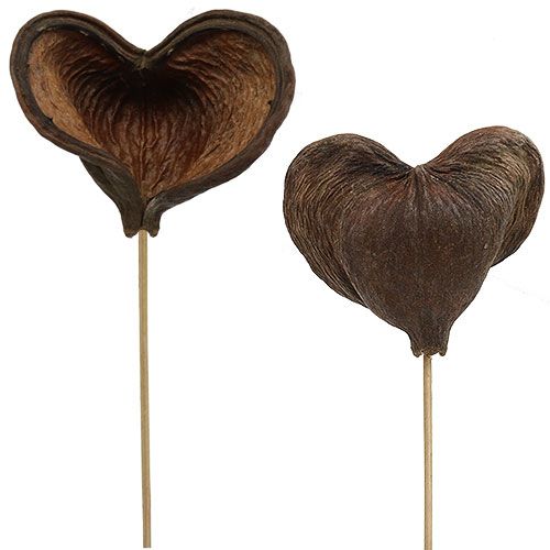 Badam su stecco naturale 6 cm - 12 cm 23 pz