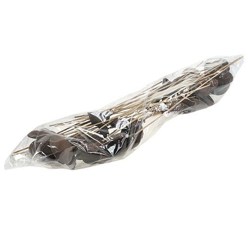Prodotto Badam su stecco naturale 6 cm - 12 cm 23 pz