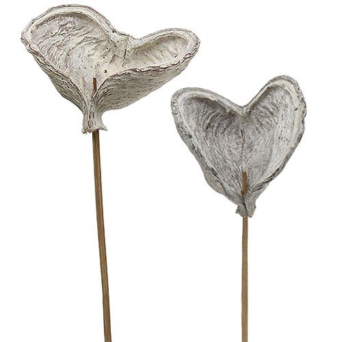 Prodotto Badam su bastone imbiancato 12 cm L55 cm 23 pz