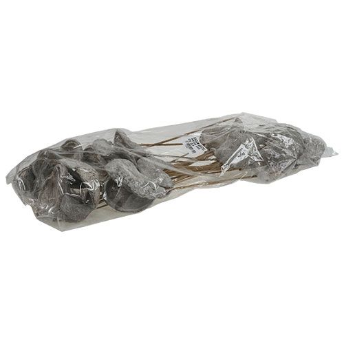 Prodotto Badam su bastone imbiancato 12 cm L55 cm 23 pz