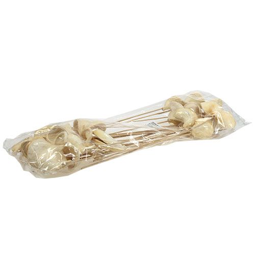 Floristik24 Badam su bastone sbiancato 6 cm - 12 cm L55 cm 23 pz