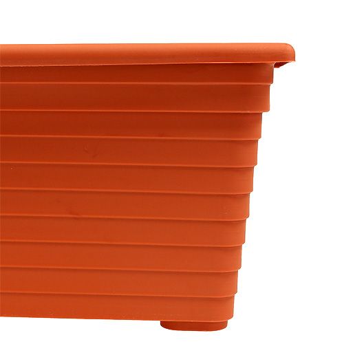 Floristik24 Cassetta da balcone &quot;Nowa&quot; terracotta 51cm x 21cm, 1pz